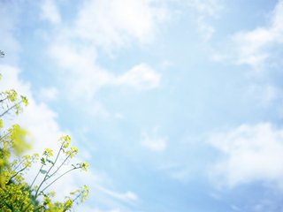 南通威鋒重工教你如何維護(hù)數(shù)控彎折機(jī)